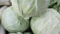 Fresh Organic nutritious Cabbage in the market for sale & cooking purposes Royalty Free Stock Photo