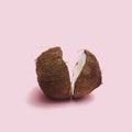 Fresh organic opened two cracked parts of the coconut head against a baby pink background. Fresh fruit, nut and seed concept