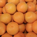 Fresh organic Oranges on Farmers Market Royalty Free Stock Photo