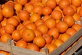 Fresh organic oranges on the market place Royalty Free Stock Photo