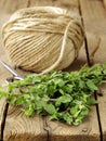 Fresh organic oregano (marjoram) Royalty Free Stock Photo