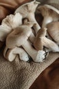 Fresh organic oyster mushrooms on a textured brown leather background Royalty Free Stock Photo