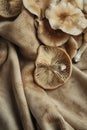 Fresh organic oyster mushrooms on a textured brown leather background Royalty Free Stock Photo