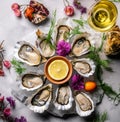 organic oysters delicacy for appetizer Royalty Free Stock Photo