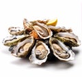 organic oysters delicacy for appetizer Royalty Free Stock Photo