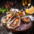 organic oysters delicacy for appetizer Royalty Free Stock Photo