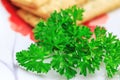 Fresh organic parsley in a porcelain plate, great close-up picture. Macro shot of green parsley branches. Aromatic garden parsley