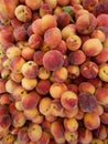 Fresh Organic Peaches, Full Frame Organic Food Background