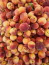 Fresh Organic Peaches, Full Frame Organic Food Background