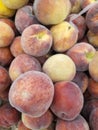 Fresh Organic Peaches Heap Of Fresh Ripe Peaches At A Turkish Street Market Royalty Free Stock Photo