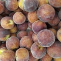 Fresh Organic Peaches Heap Of Fresh Ripe Peaches At A Turkish Street Market