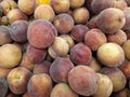 Fresh Organic Peaches Heap Of Fresh Ripe Peaches At A Turkish Street Market Royalty Free Stock Photo