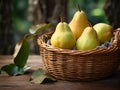 Fresh Organic Pear Fruit Horizontal Illustration.