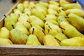 Fresh organic pears background. Ripe yellow large pears in wooden box at farmers market. Pears harvest. Autumn fruit harvest Royalty Free Stock Photo