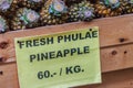 Fresh organic Phulae pineapple for sale at the fruit market. The