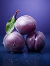 Fresh Organic Plum Fruit Vertical Illustration.