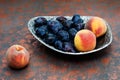 Fresh organic plums and peaches in a metal vase on the copper shagreen background. Still life of ripe and juicy fruits Royalty Free Stock Photo