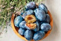 Fresh organic plums in wooden bowl Royalty Free Stock Photo