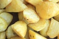 Fresh organic potato stand out among many large background potatoes in the field . Heap of potato root. Close-up potatoes texture. Royalty Free Stock Photo