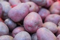 fresh red potatoes in the supermarket Royalty Free Stock Photo