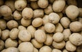 Fresh organic potato stand out among many large background potatoes in the market. Heap of potato root. Close-up Royalty Free Stock Photo