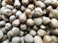 Fresh organic potato stand out among many large background potatoes in the market. Heap of potato root. Close-up potatoes texture Royalty Free Stock Photo