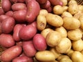 Fresh organic potato and sweet potato stand out among many potato background in supermarket. Heap of potato root. Close-up potatoe
