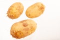 Fresh organic potatoes isolated on a white background Royalty Free Stock Photo