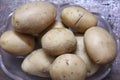 Fresh Organic Potatoes isolated on wood background Royalty Free Stock Photo