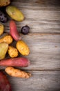 Fresh organic potatoes varieties Royalty Free Stock Photo