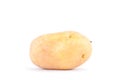 fresh organic potatoes on white background healthy potato Vegetable food isolated Royalty Free Stock Photo