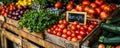 Fresh organic produce on display at a local farmers market with a prominent Non-GMO sign among vibrant tomatoes, zucchinis Royalty Free Stock Photo