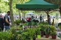 Fresh organic produce on sale at local farmers market