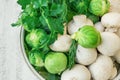 Fresh Organic Produce Vegetables Brussels Sprouts Green Herbs Parsley Dill Mushrooms in White Metal Colander on Wooden Garden Tabl