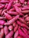 Fresh organic purple sweet potatoes on market Royalty Free Stock Photo
