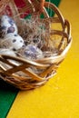 Fresh organic quail eggs in wicker basket. Diet product. Organic food. Homemade quail eggs close up view. Easter. Protein and Heal