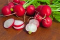 Fresh organic radish Royalty Free Stock Photo