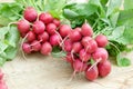 Fresh organic radish, bunch of red radishes on table Royalty Free Stock Photo