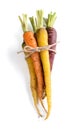 Fresh organic rainbow carrots