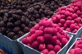 Fresh organic rasberries in Vancouver's Grandville Island Market