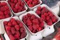 Fresh organic raspberries at farmers market in city Royalty Free Stock Photo