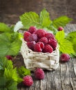 Fresh organic raspberry in basket. Royalty Free Stock Photo