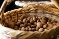 Fresh Organic Raw Almonds with Shell in Basket. Royalty Free Stock Photo