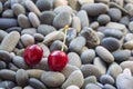 Fresh organic red cherries on a background of gray round smooth Royalty Free Stock Photo