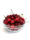 Fresh organic red cherries with stems Royalty Free Stock Photo