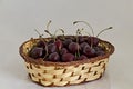 Fresh organic red cherries with stems in a wicker basket, Sofia Royalty Free Stock Photo