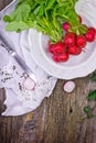 Fresh organic red radishes Royalty Free Stock Photo