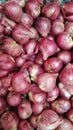 Fresh organic red shallot Royalty Free Stock Photo