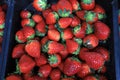 Fresh organic red strawberries as background. Strawberry pattern Royalty Free Stock Photo