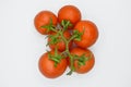 Fresh organic red tomatoes bundle